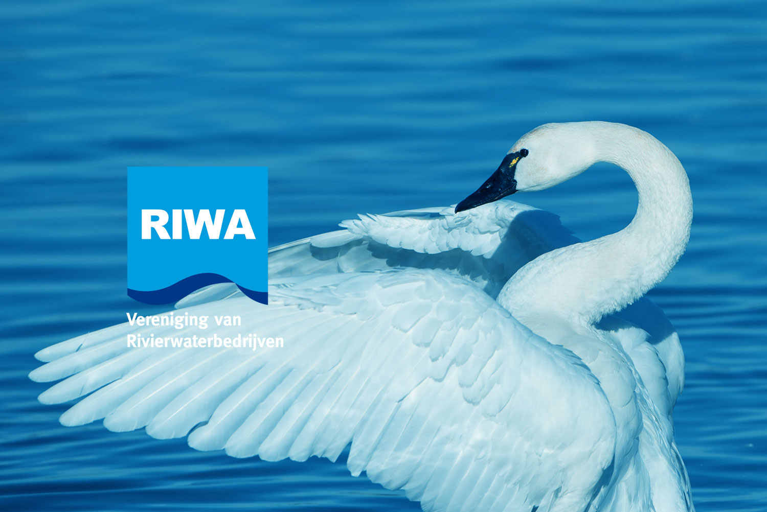 RIWA